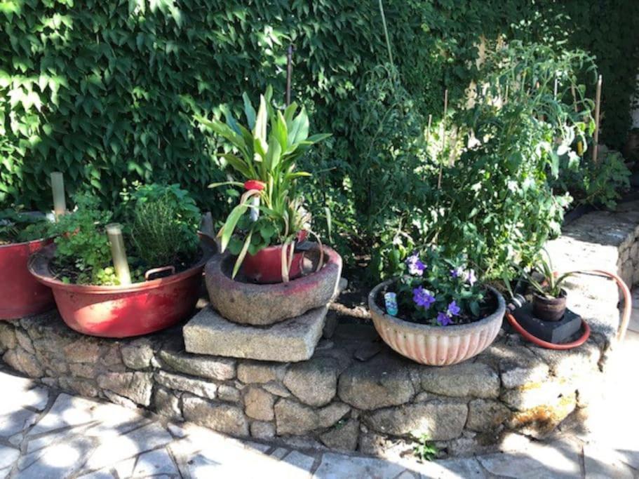 שולה Loft La Perriere, Un Oasis En Pleine Ville מראה חיצוני תמונה